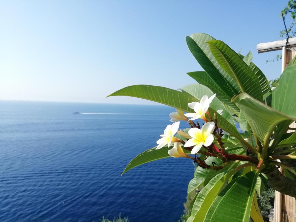 Apartmán Sea Side Solandra Praiano Exteriér fotografie